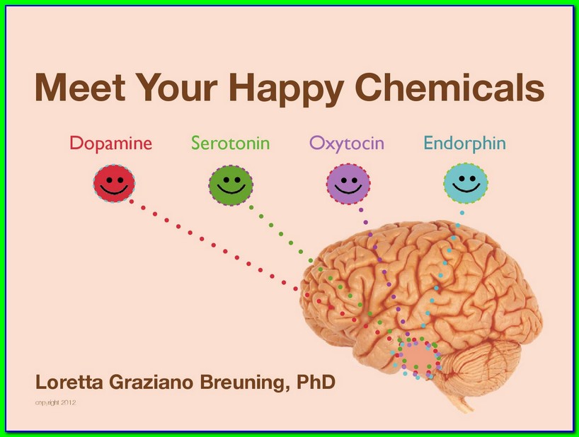 Buku Mееt Yоur Hарру Chemicals karya Lоrеttа Breuning